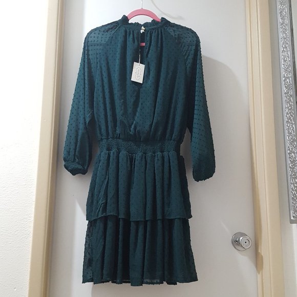 teal green swiss dot chiffon high neck gathered waist long sleeve dress - Picture 4 of 6